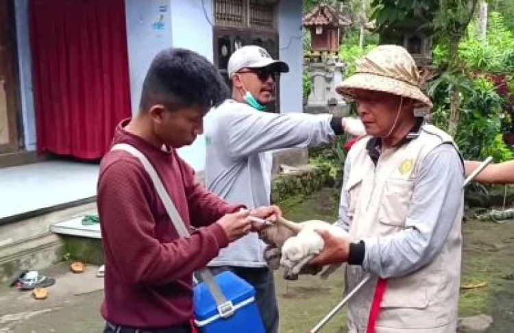 PT Suara Dewata Media - Suara dari Pulau Dewata