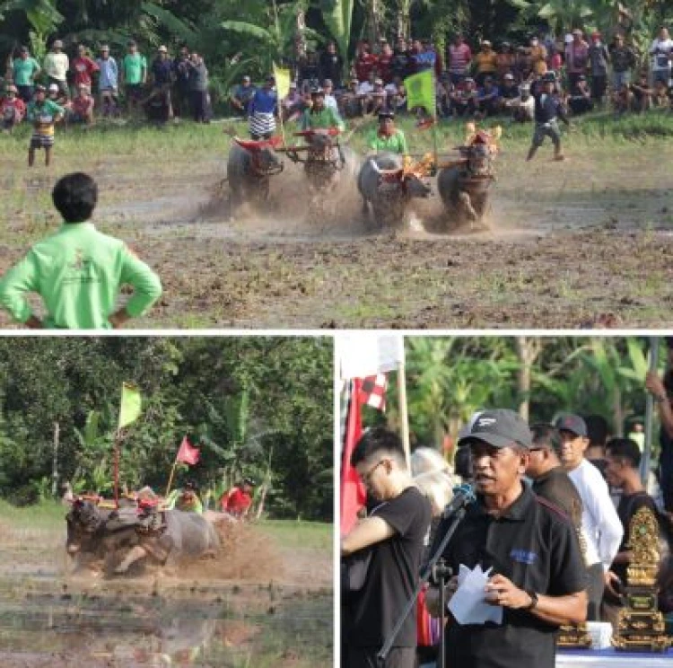 PT Suara Dewata Media - Suara dari Pulau Dewata