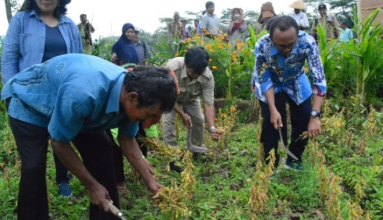 PT Suara Dewata Media - Suara dari Pulau Dewata