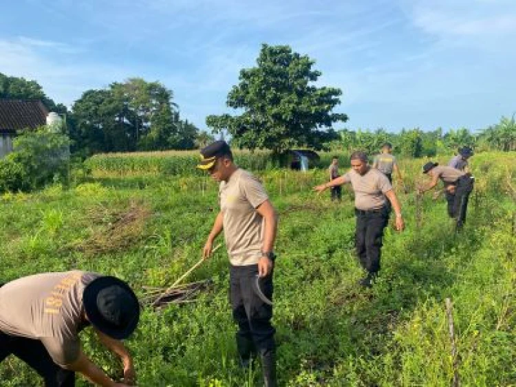 PT Suara Dewata Media - Suara dari Pulau Dewata