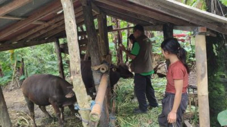 PT Suara Dewata Media - Suara dari Pulau Dewata