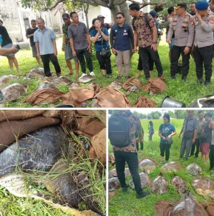 PT Suara Dewata Media - Suara dari Pulau Dewata