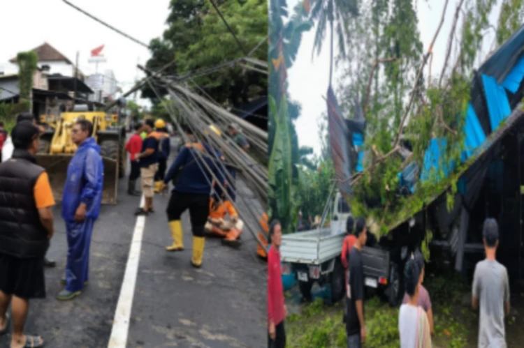 PT Suara Dewata Media - Suara dari Pulau Dewata