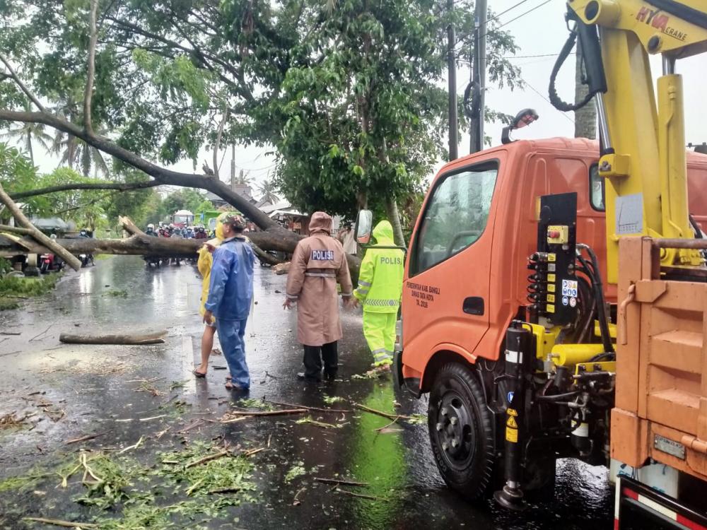 PT Suara Dewata Media - Suara dari Pulau Dewata