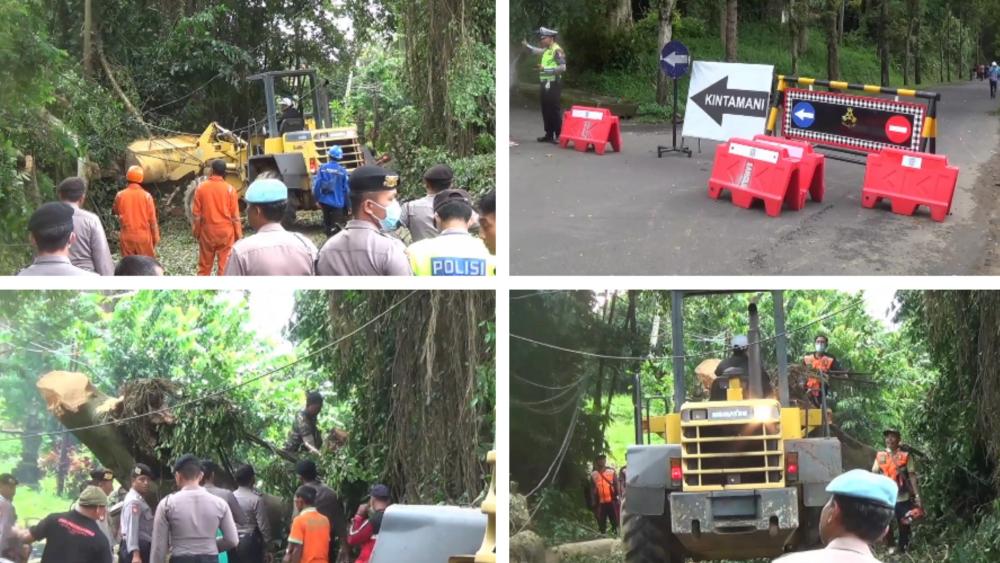 PT Suara Dewata Media - Suara dari Pulau Dewata