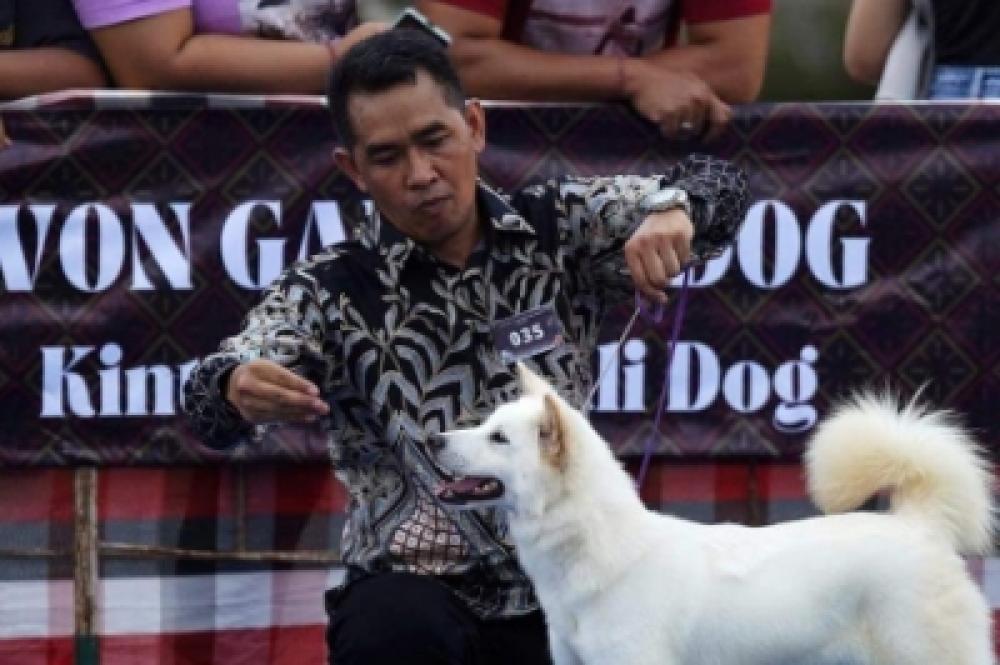 PT Suara Dewata Media - Suara dari Pulau Dewata