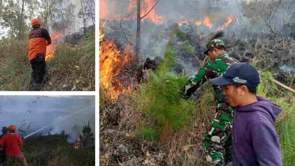 PT Suara Dewata Media - Suara dari Pulau Dewata