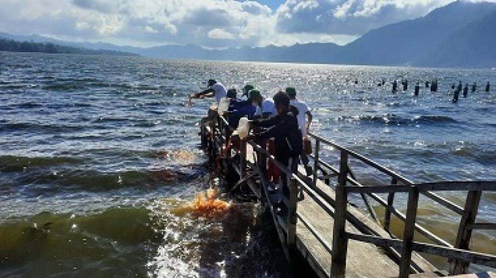 PT Suara Dewata Media - Suara dari Pulau Dewata